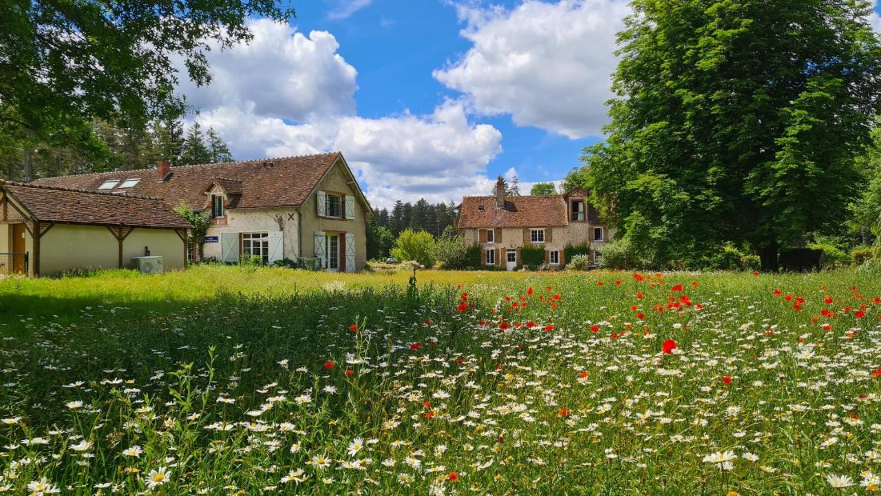 Chambres D'Hotes Le Moulin De Crouy Bagian luar foto
